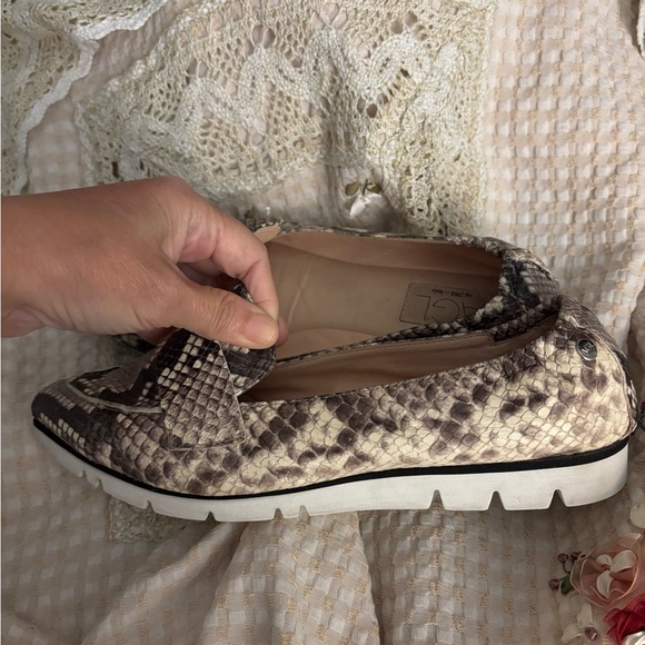 Agl Pointed Toe Snake Print Loafers in Beige and Black - Picture 6 of 12